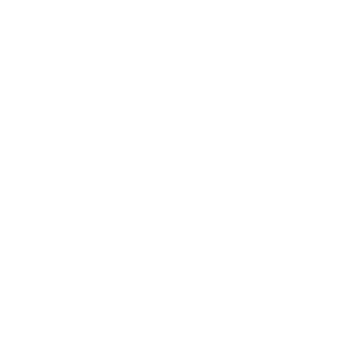 S Packery Inc. seal — Chartered Accountants, Registered Auditors, Est 2013